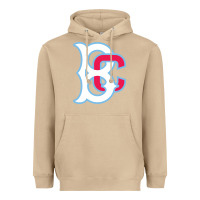 Mushroom brooklyn Heavyweight Hoodie - linhVisuals