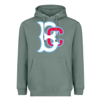 Sage brooklyn Heavyweight Hoodie - linhVisuals