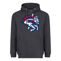 Smoke the-binghamton-rumble-ponies-pen Heavyweight Hoodie - linhVisuals
