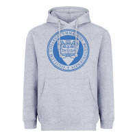 Heather Grey Emmanuel College Heavyweight Hoodie - linhVisuals