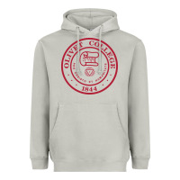 Moon Dust olivet college vectorized Heavyweight Hoodie - linhVisuals