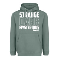 Sage mrballen merch mr ballen Heavyweight Hoodie - linhVisuals