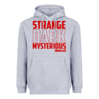 Mrballen Merch Mr Ballen Heavyweight Hoodie | Teevron