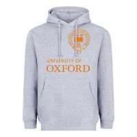 Heather Grey oxford Heavyweight Hoodie - linhVisuals