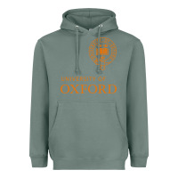 Sage oxford Heavyweight Hoodie - linhVisuals