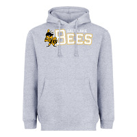 Heather Grey salt lake city bees Heavyweight Hoodie - linhVisuals