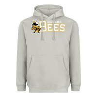 Moon Dust salt lake city bees Heavyweight Hoodie - linhVisuals