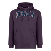 Plum ithaca new york ny vintage sports design navy design t shirt Heavyweight Hoodie - linhVisuals