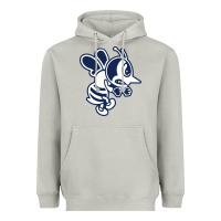 Moon Dust ambrose university fighting bees Heavyweight Hoodie - linhVisuals
