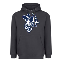 Smoke ambrose university fighting bees Heavyweight Hoodie - linhVisuals