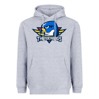 Heather Grey the thunderbirds springfield Heavyweight Hoodie - linhVisuals