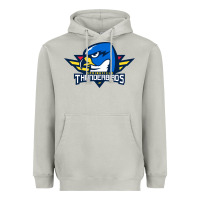 The Thunderbirds Springfield Heavyweight Hoodie | Teevron