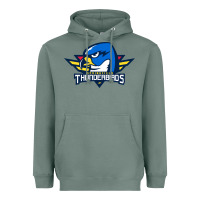 Sage the thunderbirds springfield Heavyweight Hoodie - linhVisuals