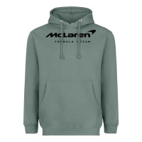 Sage formula 1 team Heavyweight Hoodie - linhVisuals