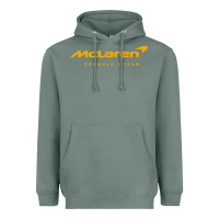 Sage formula 1 team Heavyweight Hoodie - linhVisuals