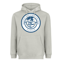 Moon Dust mount holyoke college Heavyweight Hoodie - linhVisuals