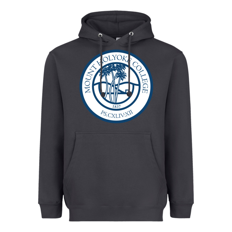Mount Holyoke College Heavyweight Hoodie by linhVisuals | Teevron