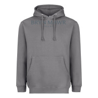 Storm Bryn Mawr College Heavyweight Hoodie - linhVisuals