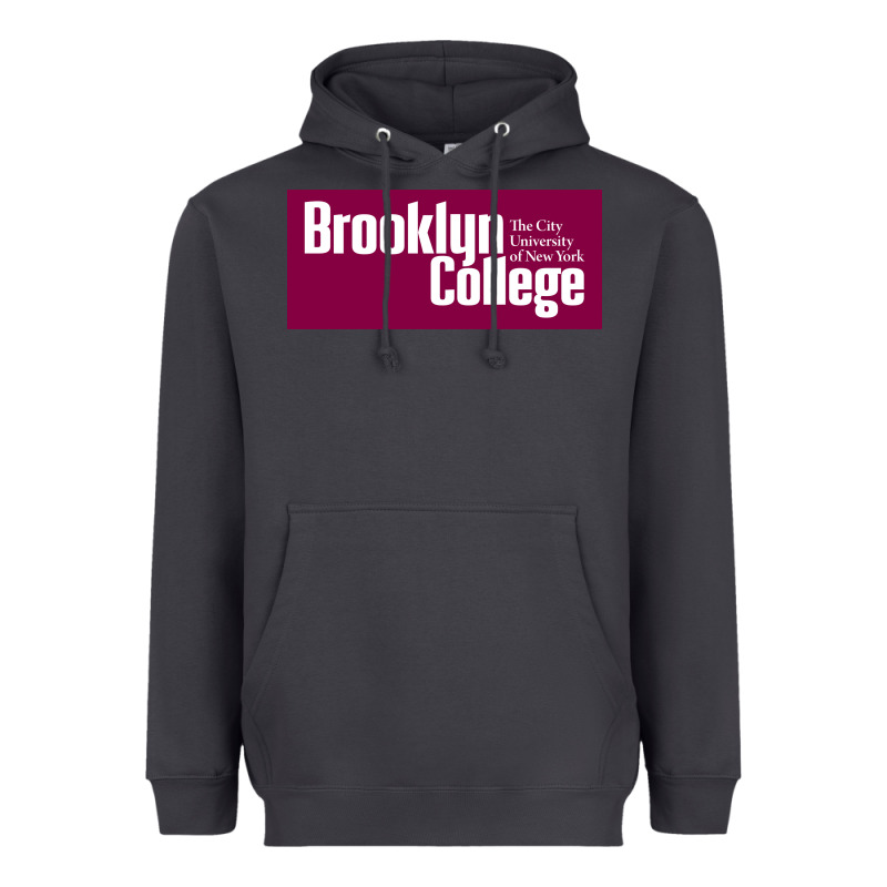 Brooklyn College Heavyweight Hoodie by linhVisuals | Teevron