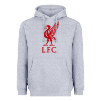 Heather Grey LIVERPOOL TEAM Heavyweight Hoodie - linhVisuals