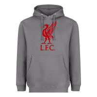 Storm LIVERPOOL TEAM Heavyweight Hoodie - linhVisuals
