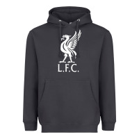 Smoke LIVERPOOL CLUB Heavyweight Hoodie - linhVisuals