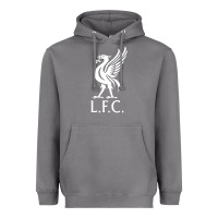 Storm LIVERPOOL CLUB Heavyweight Hoodie - linhVisuals