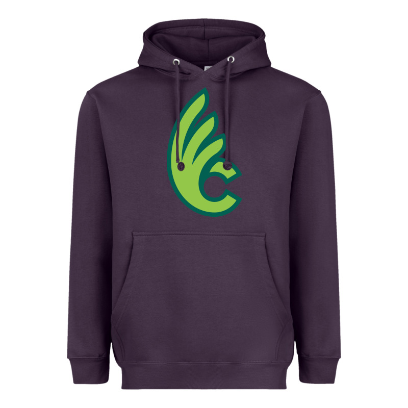 Wilmington College Quaqers Heavyweight Hoodie by linhVisuals | Teevron