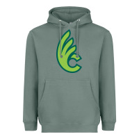 Sage wilmington college quaqers Heavyweight Hoodie - linhVisuals