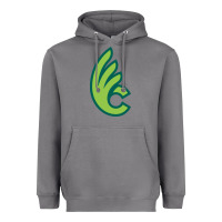 Storm wilmington college quaqers Heavyweight Hoodie - linhVisuals