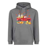 Storm basenji pumpkin truck fall leaf thanksgiving halloween Heavyweight Hoodie - linhVisuals