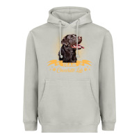 Labrador Retriever Team Chocolate Lab Funny Heavyweight Hoodie | Teevron