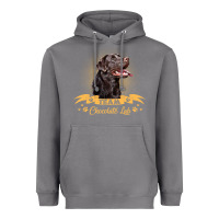 Storm labrador retriever team chocolate lab funny Heavyweight Hoodie - linhVisuals