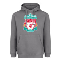 Storm the-liverpool-pen Heavyweight Hoodie - linhVisuals