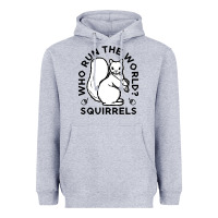 Heather Grey who run the world squirrels Heavyweight Hoodie - linhVisuals