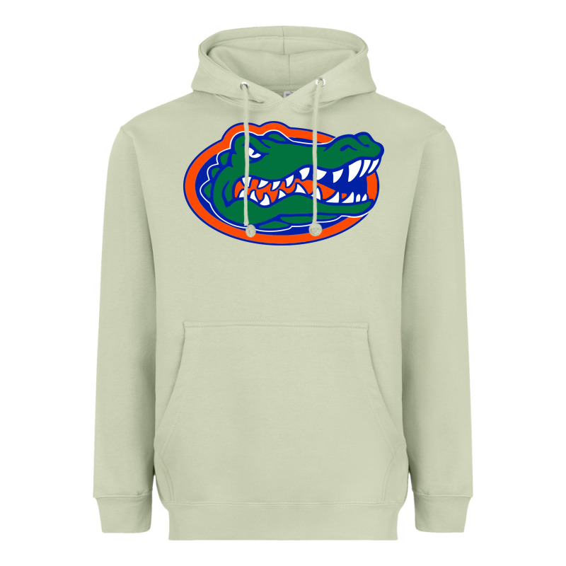 Go Florida Gators Football Heavyweight Hoodie by linhVisuals | Teevron