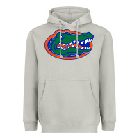 Moon Dust go florida gators football Heavyweight Hoodie - linhVisuals