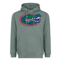 Sage go florida gators football Heavyweight Hoodie - linhVisuals