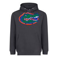 Smoke go florida gators football Heavyweight Hoodie - linhVisuals