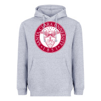 Heather Grey santa clara u Heavyweight Hoodie - linhVisuals