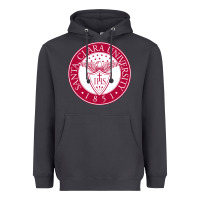 Smoke santa clara u Heavyweight Hoodie - linhVisuals