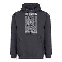 Smoke JOY DIVISION - UNKNOWN PLEASURES Heavyweight Hoodie - linhVisuals