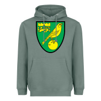 Sage norwich-fc Heavyweight Hoodie - linhVisuals