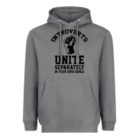 Storm introverts unite Heavyweight Hoodie - linhVisuals