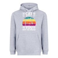 Heather Grey Funny Cat Lover Sarcastic Cat Memes Heavyweight Hoodie - linhVisuals