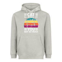 Moon Dust Funny Cat Lover Sarcastic Cat Memes Heavyweight Hoodie - linhVisuals