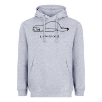 Heather Grey Funny Animal Sloth SLOPHISTICATED Heavyweight Hoodie - linhVisuals