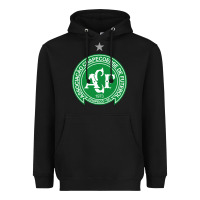 Black the-chapecoense-pen Heavyweight Hoodie - linhVisuals