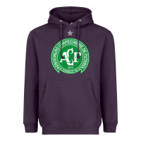 Plum the-chapecoense-pen Heavyweight Hoodie - linhVisuals