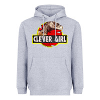 Heather Grey clever girl Heavyweight Hoodie - linhVisuals